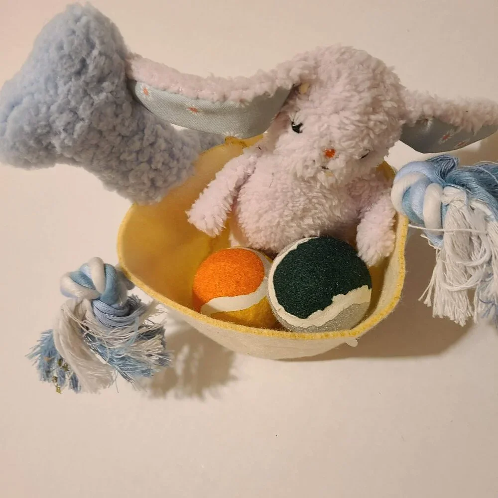 5 PIECE SMALL DOG TOY SET